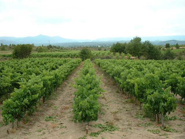 Domaine De Peyre Brune Acomodação com café da manhã Beaulieu  Exterior foto